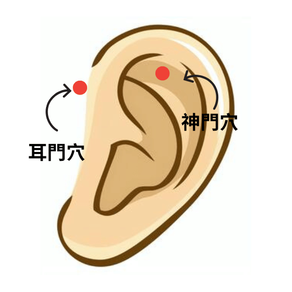 失眠穴道 失眠穴道