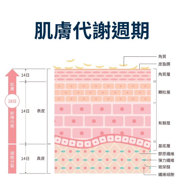 黑頭粉刺