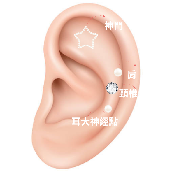 耳穴貼 耳穴貼