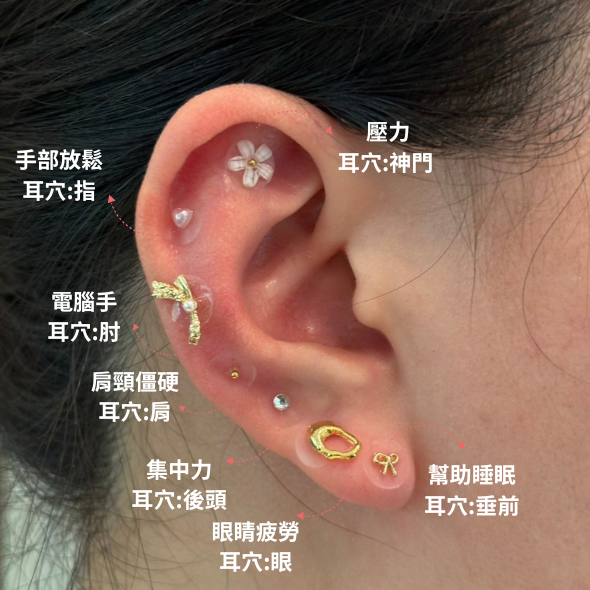 耳穴貼 耳穴貼