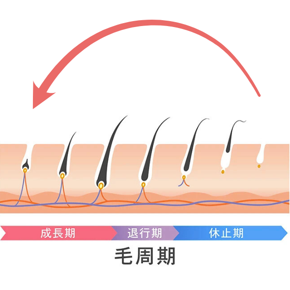 永久除毛