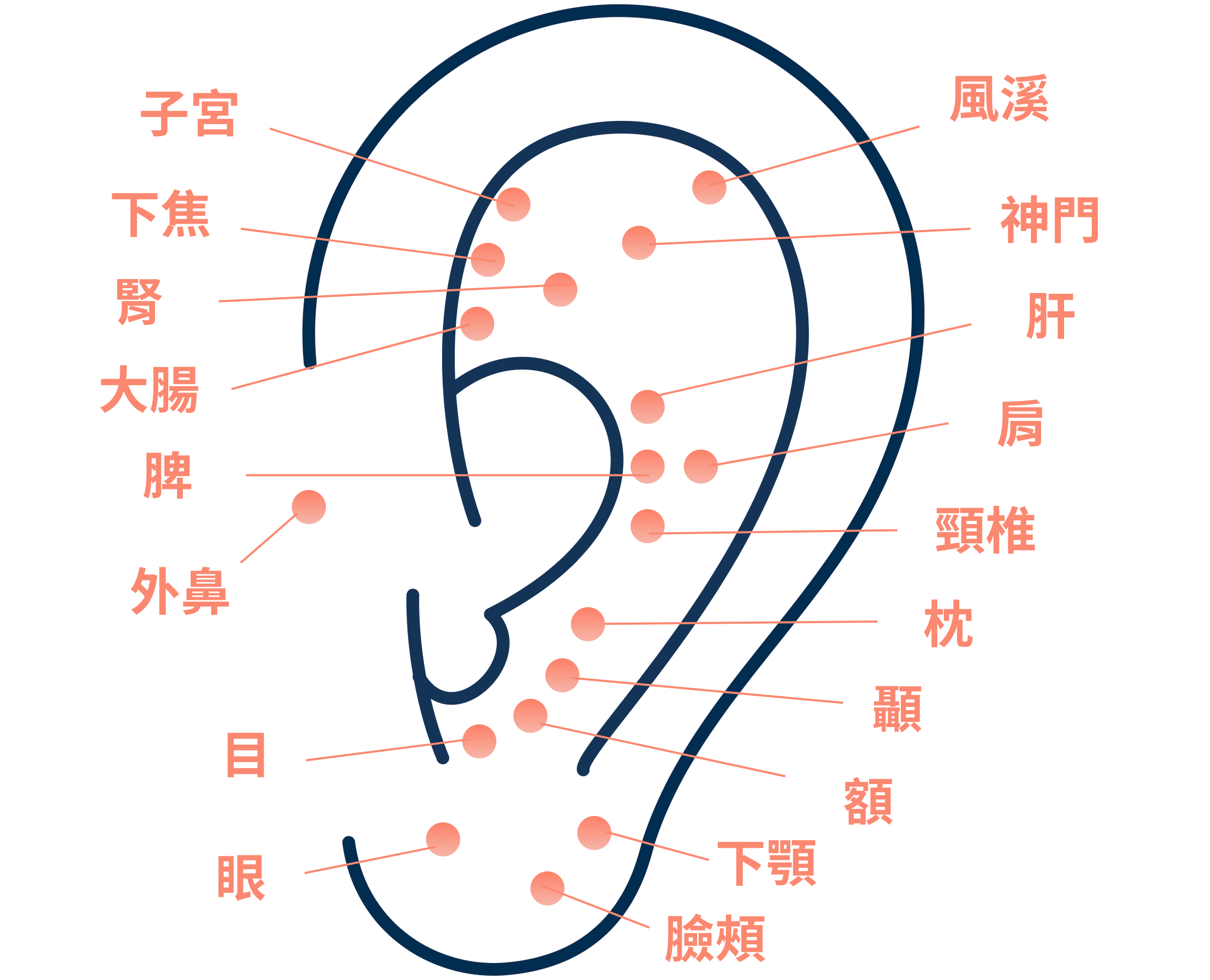 耳穴貼價格 耳穴貼價格